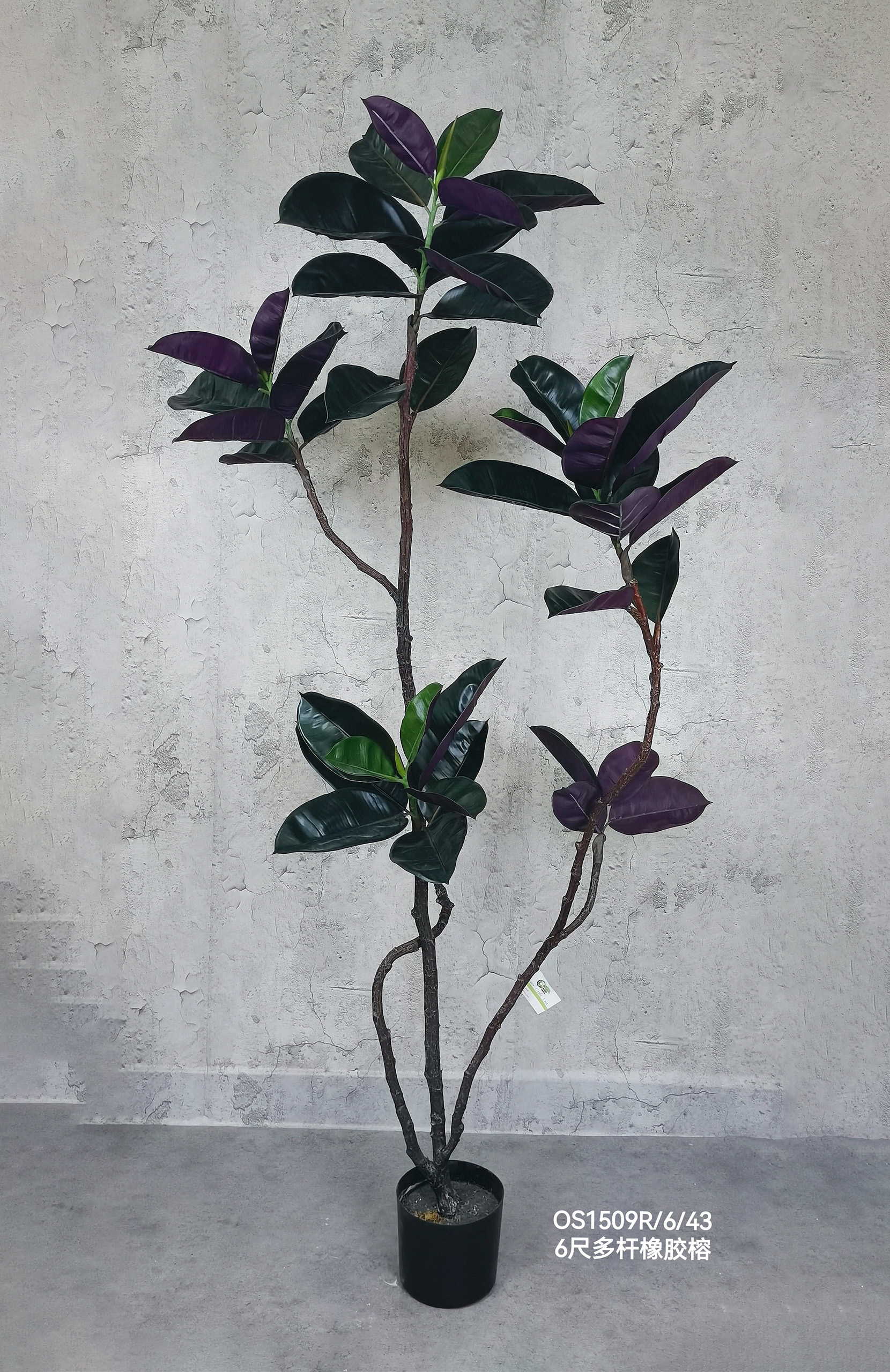 Rubber Leaf - Image 2