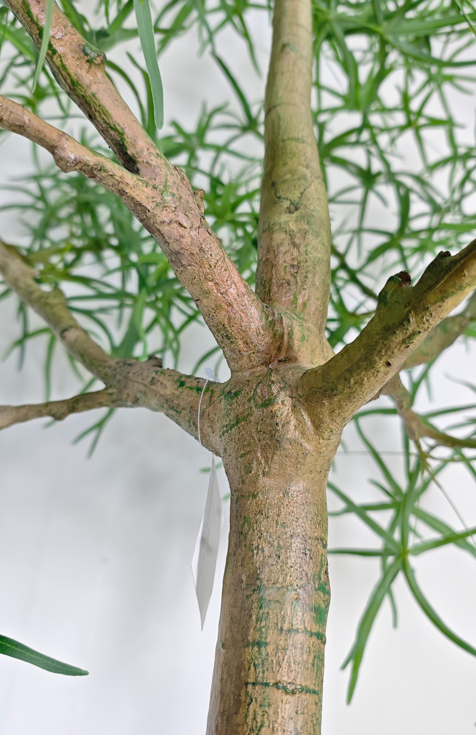 Queensland Bottle - Image 2